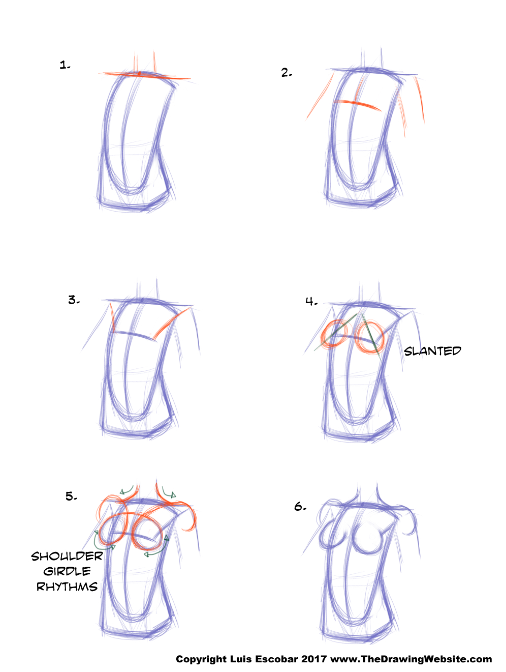 HOW TO DRAW DIFFERENT BODY TYPES 