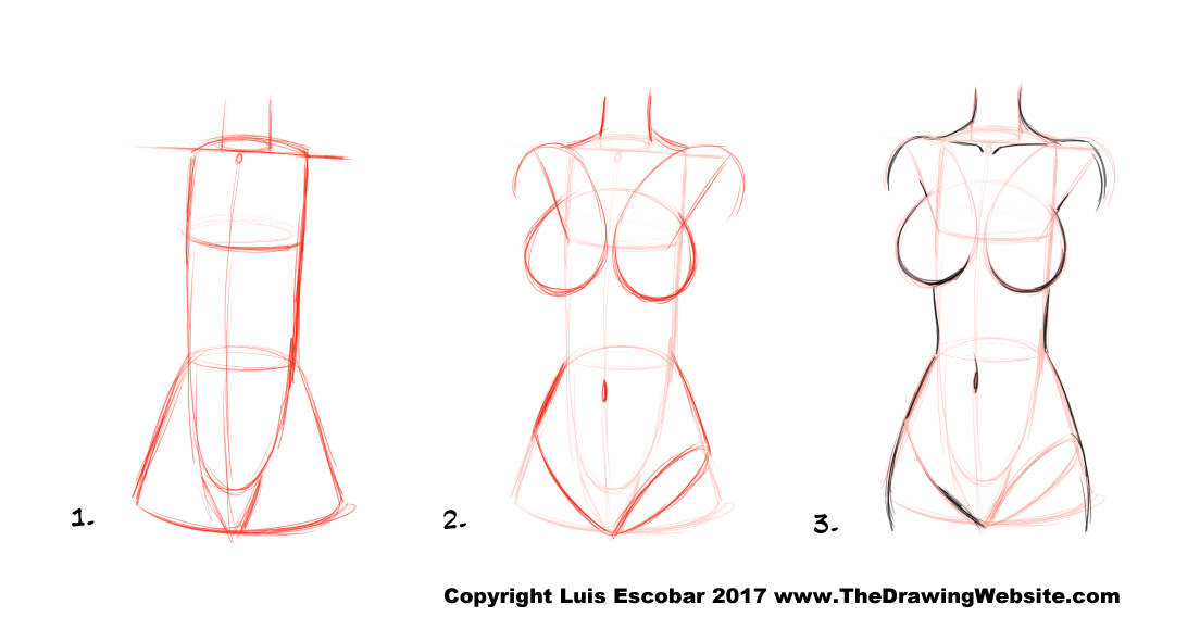 Drawing Different Body Types