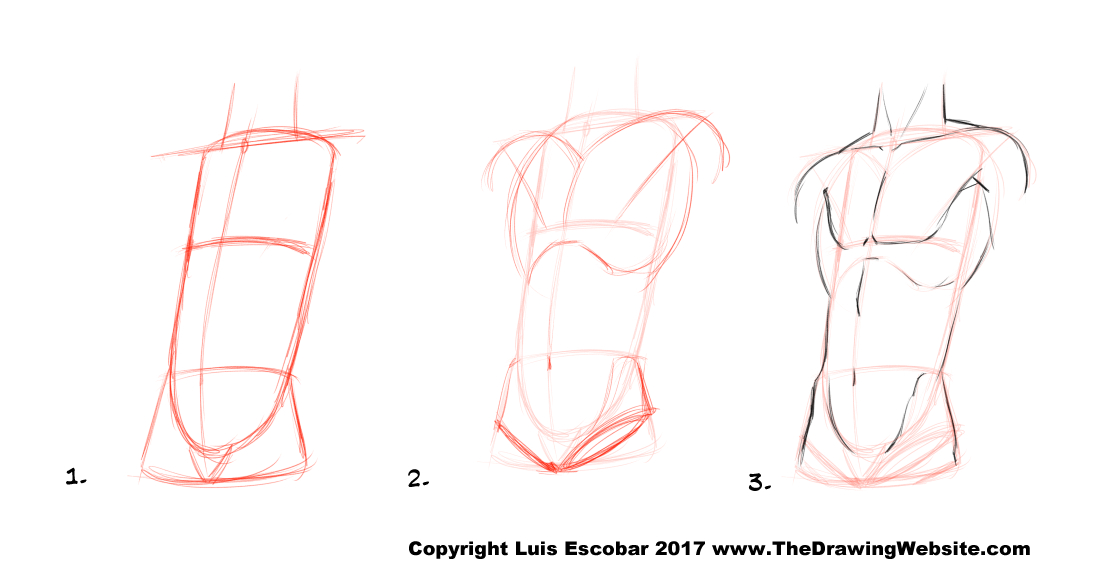 HOW TO DRAW DIFFERENT BODY TYPES 