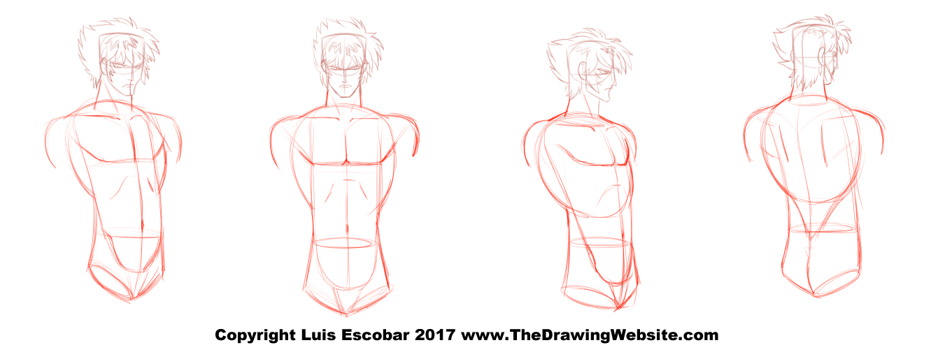 Breast sizes  Body drawing tutorial, Human body drawing, Body reference  drawing