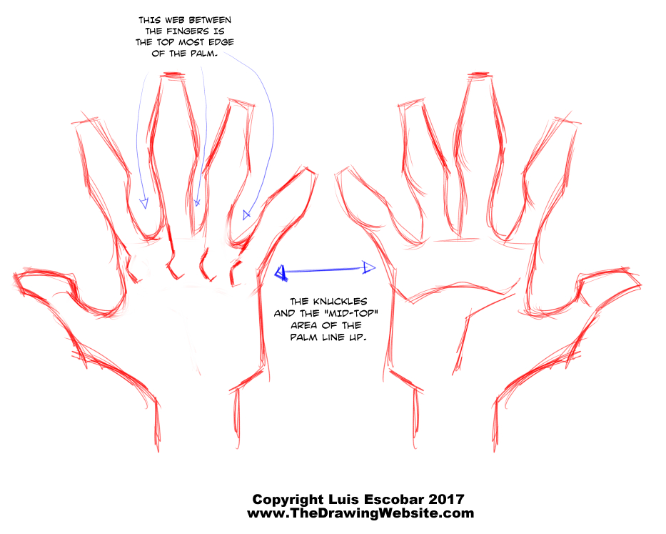 And more hands..  Anime hands, How to draw hands, Drawing