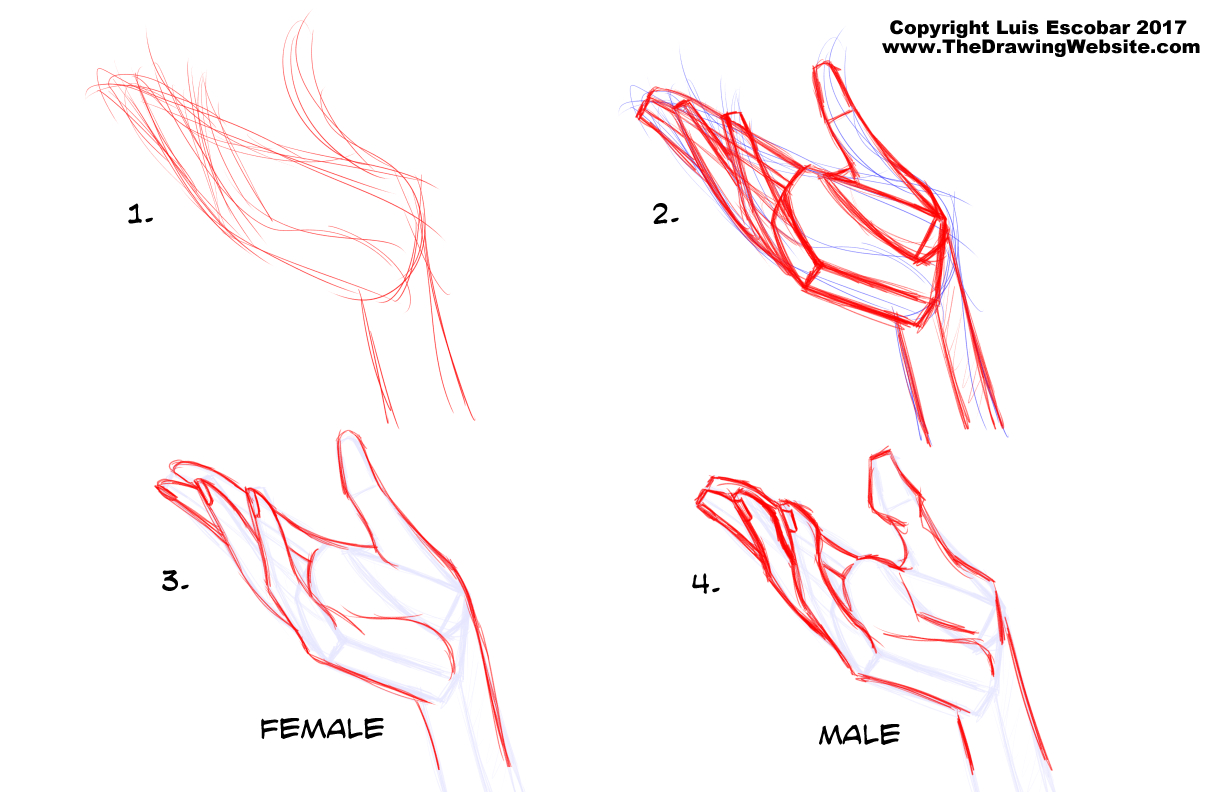 hand gestures drawing