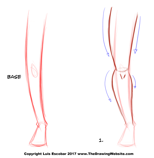 Legs Drawing - How To Draw Legs Step By Step