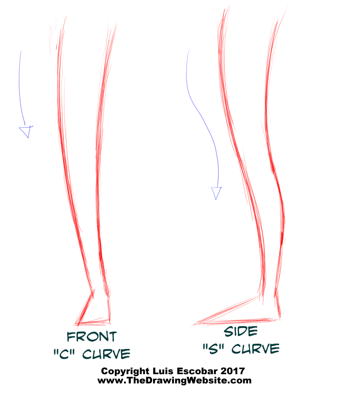 Cartoon Legs Formula