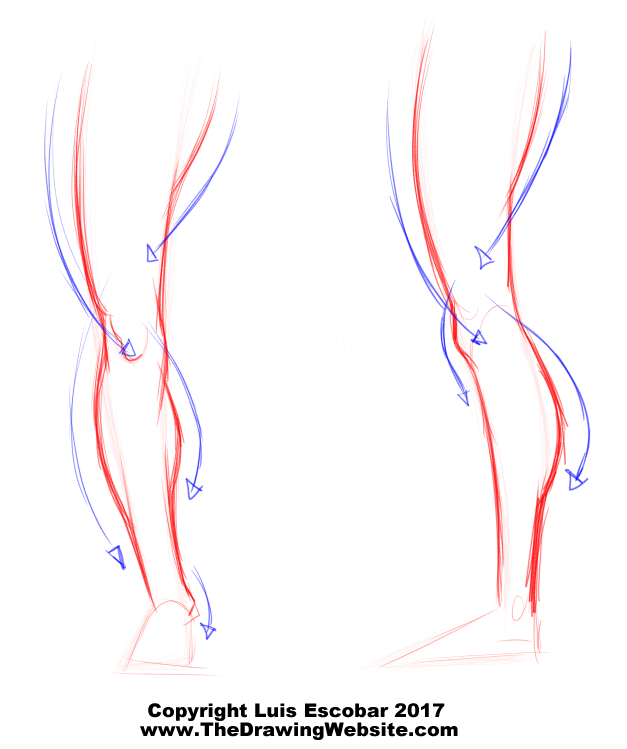 Legs Drawing - How To Draw Legs Step By Step