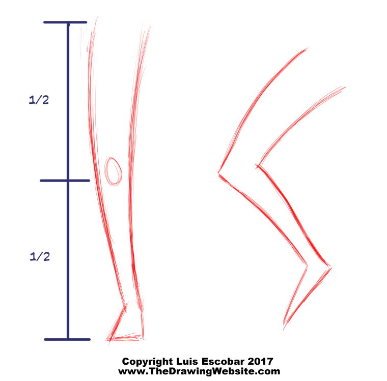 Cartoon Legs Formula