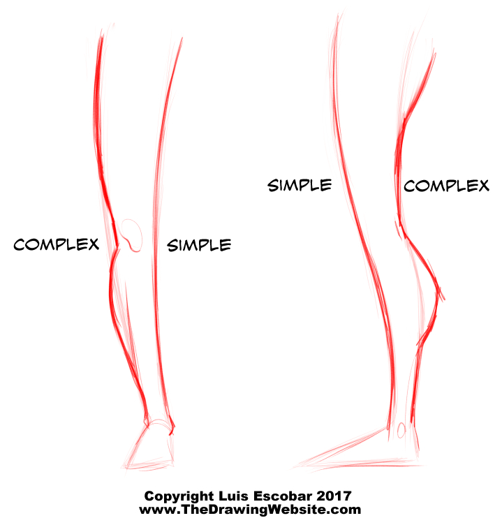 Cartoon Legs Formula