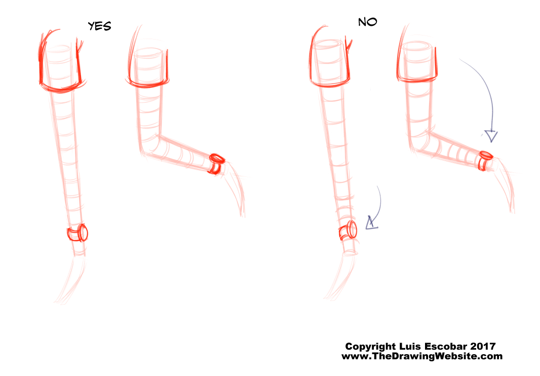 Cartoon Arm Formula  The Drawing Website